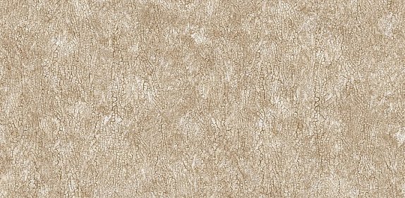 oboi-54244-4-andrea-rossi-asinara