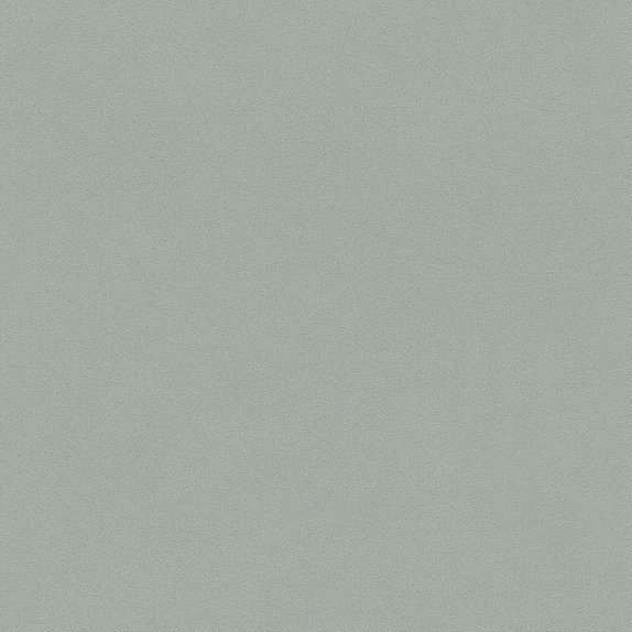 oboi-607260-rasch-passepartout