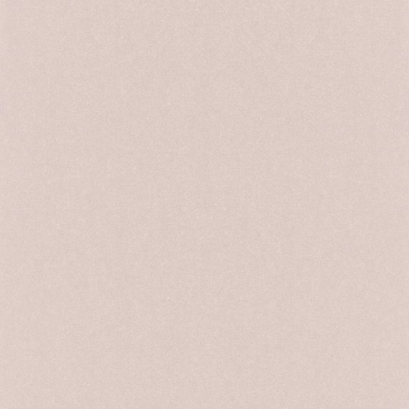 oboi-501148-rasch-kerala