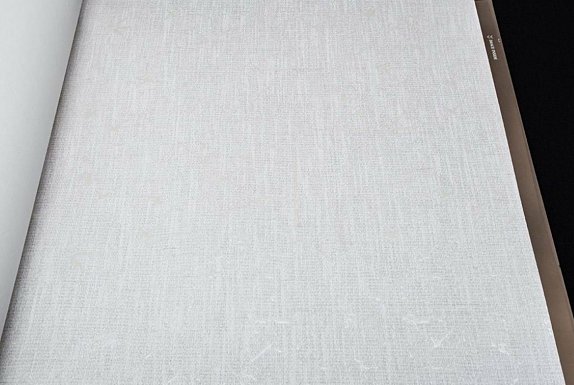 oboi-2207-1-rdt-alessandro-allori-breeze