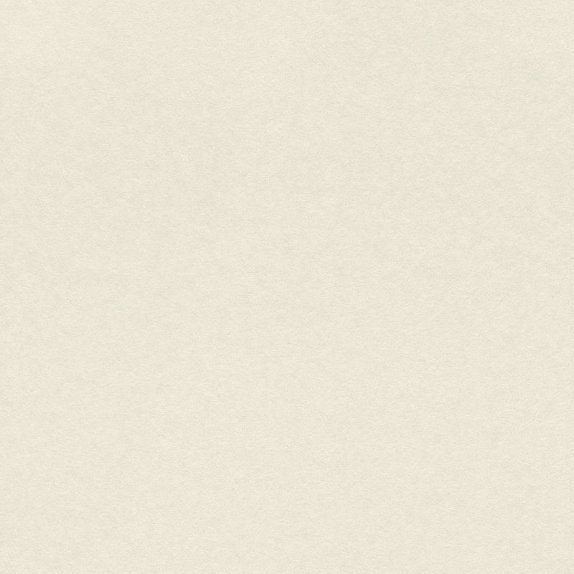 oboi-297583-rasch-textil-alliage