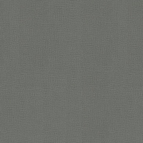 oboi-920635-rasch-varvara