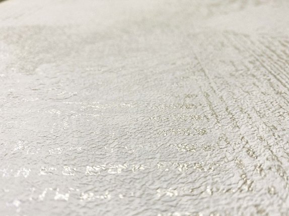 oboi-416800-rasch-finca