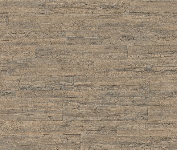 oboi-537031-rasch-curiosity