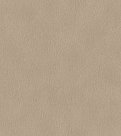 oboi-751055-rasch-african-queen-iii