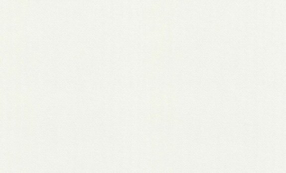 oboi-125634-rasch-wallton-premium