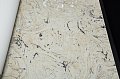 oboi-60103-2-bruno-zoff-platinum
