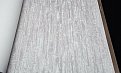 oboi-2203-1-rdt-alessandro-allori-breeze