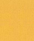oboi-746082-rasch-indian-style