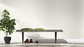 oboi-103670-rasch-wallton-dimension