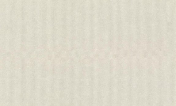 oboi-965025-rasch-magnolia
