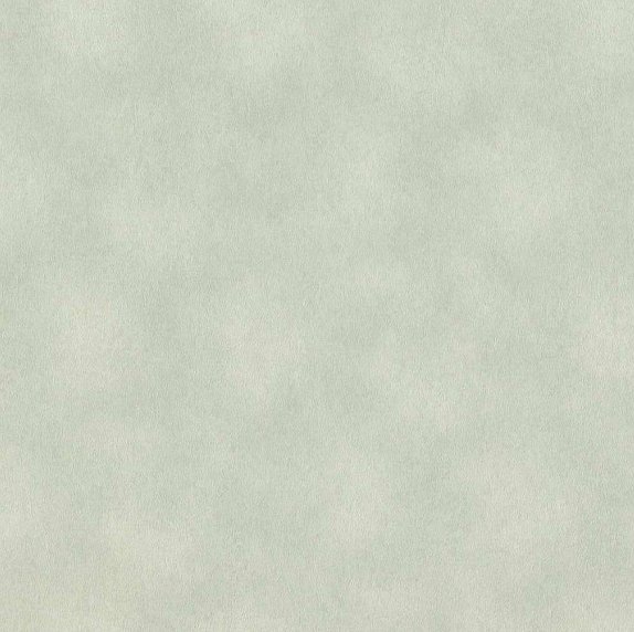 oboi-957358-rasch-raymond