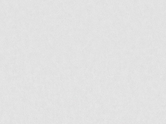 oboi-bn-220500-bn-international-grand-safari