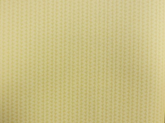 oboi-79448-rasch-selected