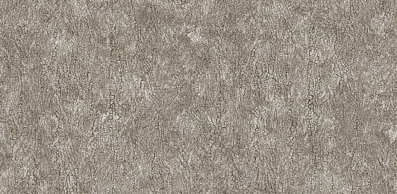 oboi-54244-5-andrea-rossi-asinara