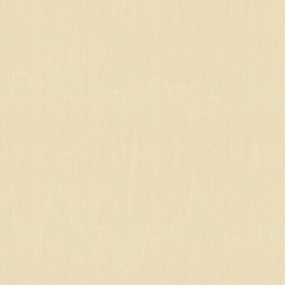 oboi-805819-rasch-new-maximum