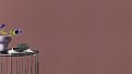 oboi-560169-rasch-barbara-home-collection-iii