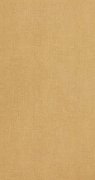 oboi-bn-46004-bn-international-color-stories