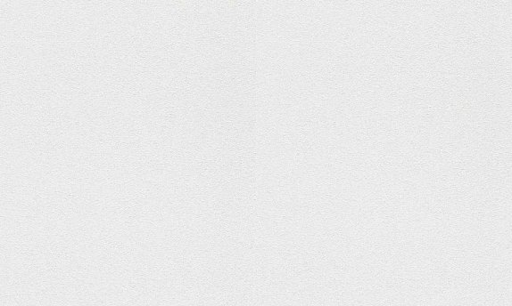 oboi-161311-rasch-wallton-premium