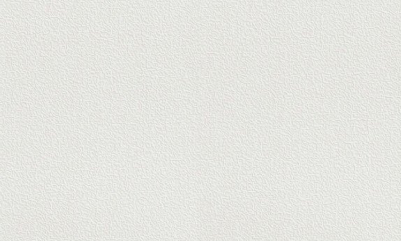 oboi-124019-rasch-wallton-premium