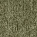 oboi-z21830-zambaiti-parati-trussardi-5