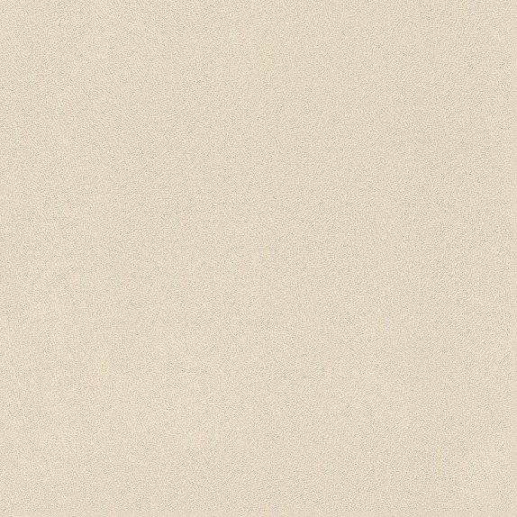 oboi-418644-rasch-club