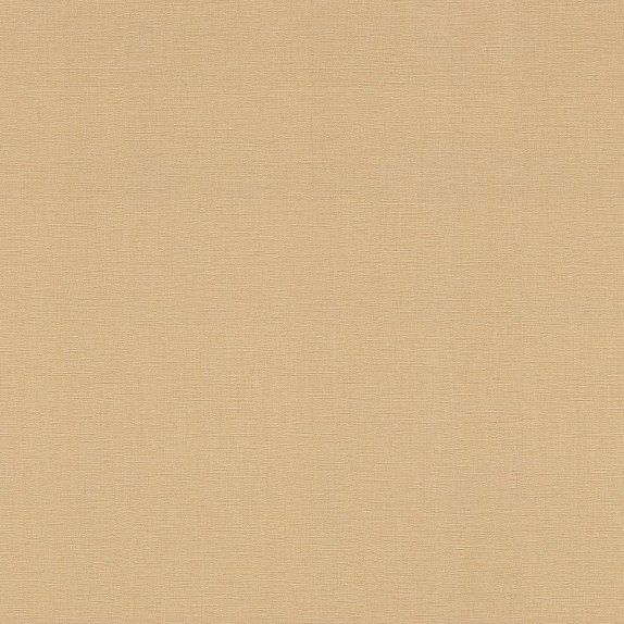 oboi-531367r-rasch-amazing