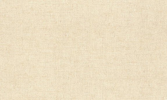 oboi-915945-rasch-maximum-xvi